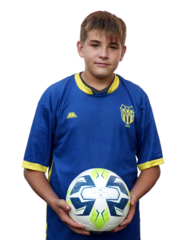 Nicola Livius Bocšan