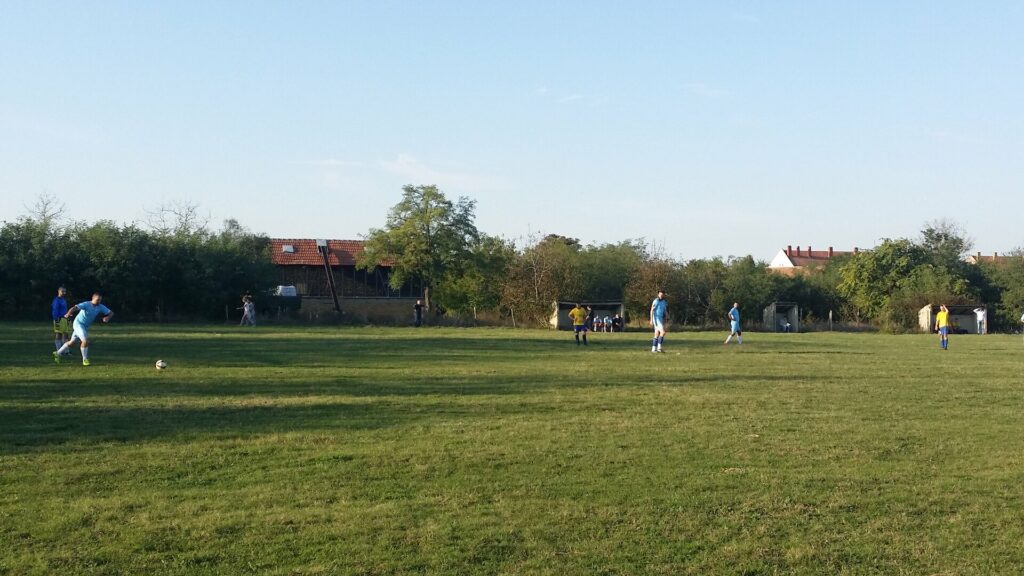 Pobeda-Parta protiv Viitorul-Straža