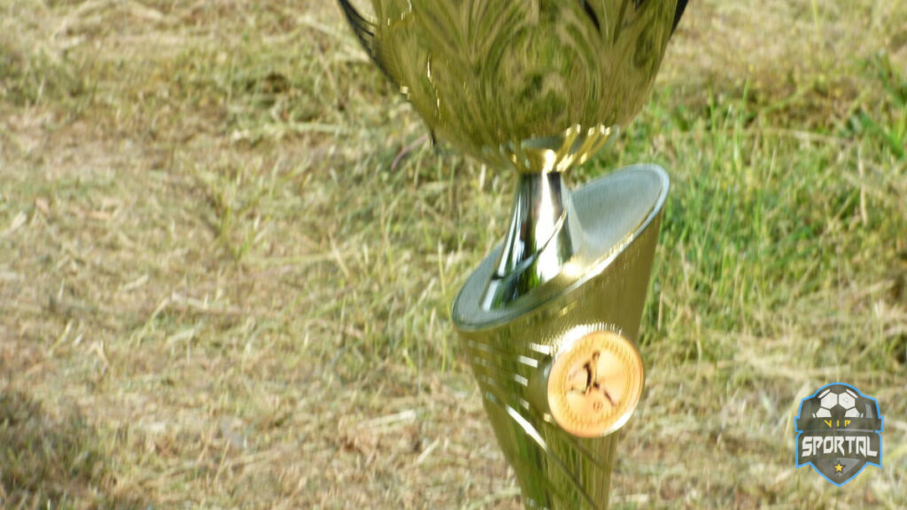 FK Viitorul Straža protiv FK Vinogradar Gudurica 23.05.2021